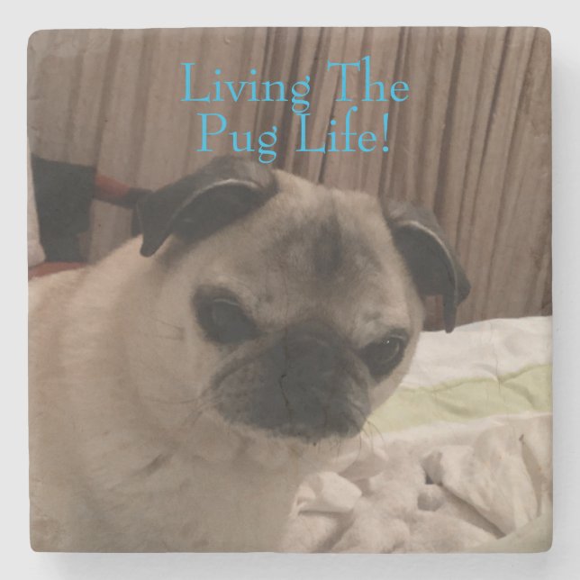 Grumpy Pug Gift  Insert Your pet photo  Stone Coaster (Front)