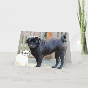 Grumpy Pug Valentine's Day Card