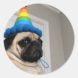 Grumpy Pug Wearing Rainbow Birthday Party Hat Classic Round Sticker