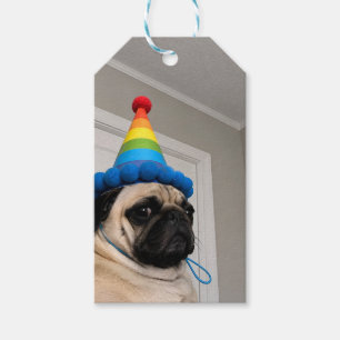 Grumpy Pug Wearing Rainbow Birthday Party Hat Gift Tags