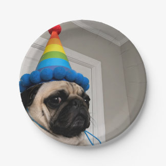 Grumpy Pug Wearing Rainbow Birthday Party Hat Paper Plate