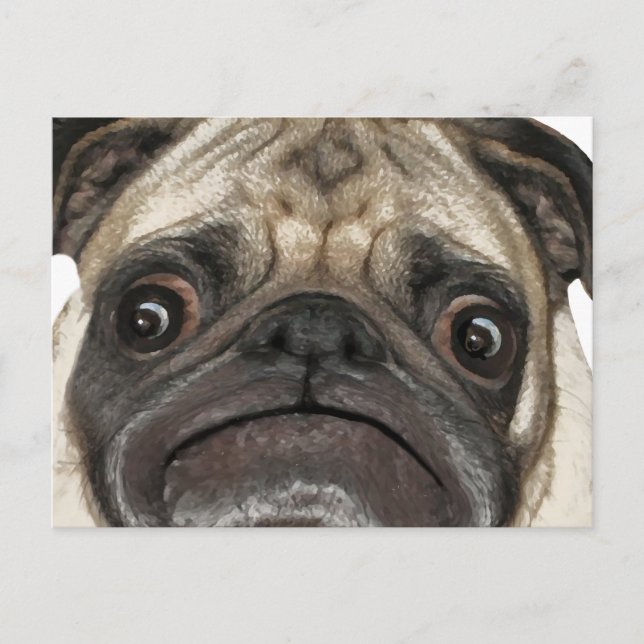 Grumpy Puggy Gifts Postcard (Front)