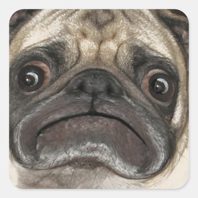 Grumpy Puggy Gifts Square Sticker (Front)