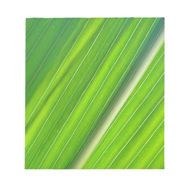 Grünes Maisblattdesign Notepad (Front)