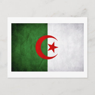 Grunge Algeria National Flag Postcard
