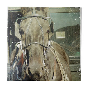 Grunge Amish Buggy Horse Tile