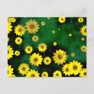 Grunge Daisies Postcard