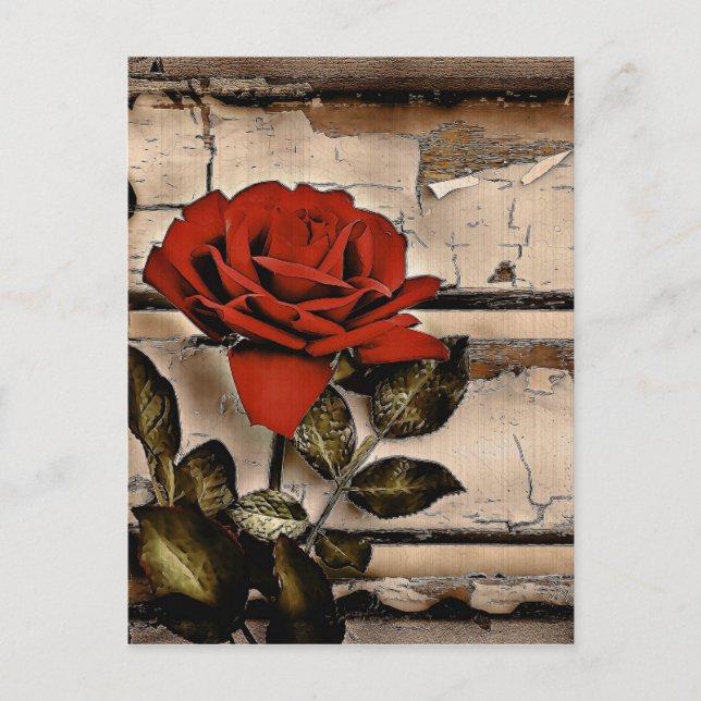 Grunge Distressed Barn Wood Rustic Red Rose Postcard (Front)