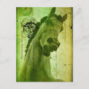 Grunge Horse Postcard-Like Postcard