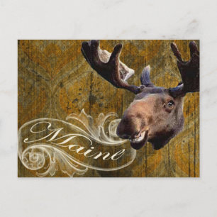 Grunge moose postcard