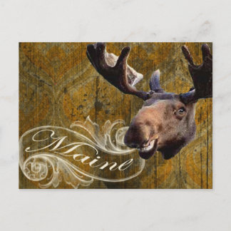 Grunge moose postcard