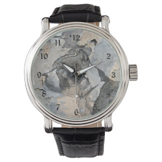Grunge Pitbull terrier Watch