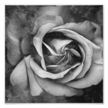 Grunge Texture Painted Rose Photo Print