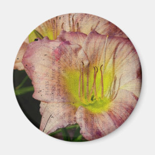 Grunged Up Look Daylily Magnet