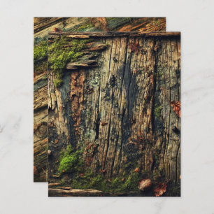 Grungy Autumnal Worn Wood and Moss Scrapbook Paper