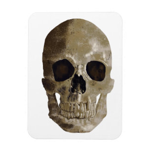 Grungy Skull Halloween Magnet