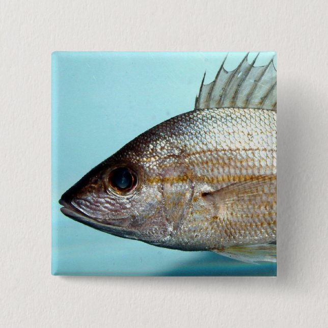 Grunt Fish 15 Cm Square Badge (Front)