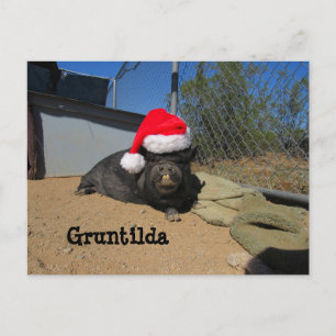 Gruntilda Post-Card Holiday Postcard