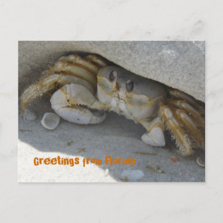 Grüße aus Florida Grußkarte Postkarte Postcard