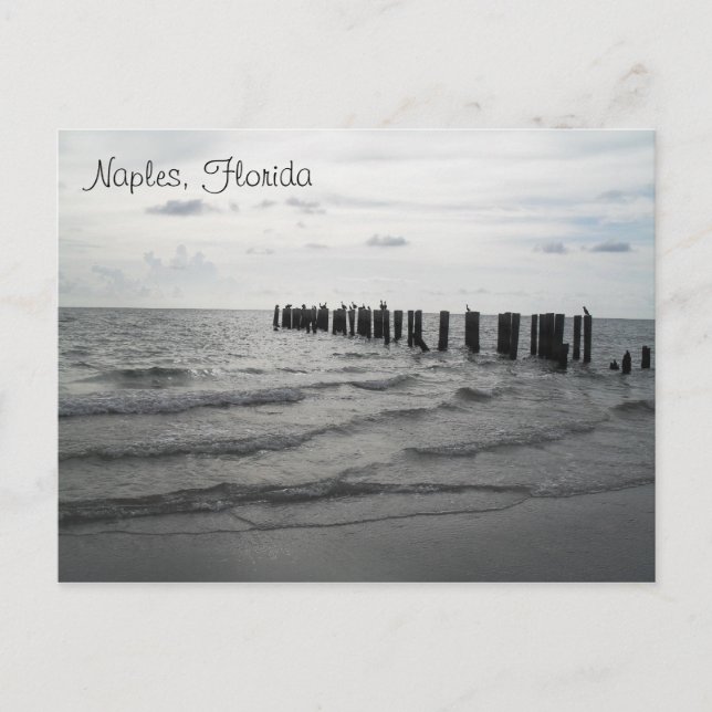 Grüße aus Florida Grußkarte Postkarte Postcard (Front)