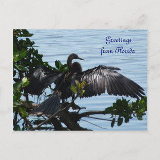 Grüße aus Florida Grußkarte Postkarte Postcard