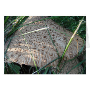 Grusskarte gemusterter Pilzhut, blanko