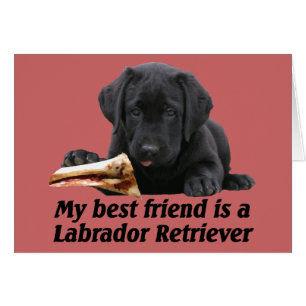 Grußkarte "Labrador Retriever"