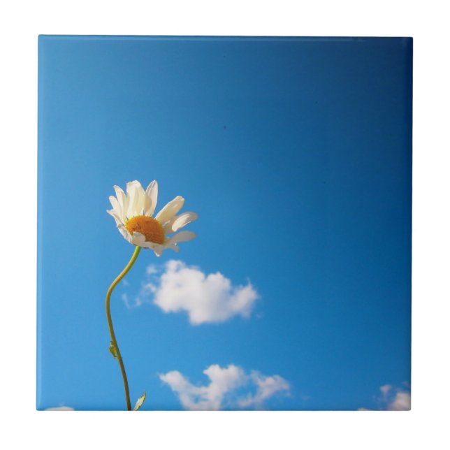 Gryd Basis Daisy Tile (Front)