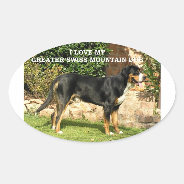 gsmd love w pic oval sticker (Front)