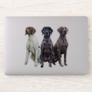 (GSP) Deutsch Kurzhaar Sticker