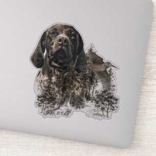 GSP, German Shorthaired Pointer