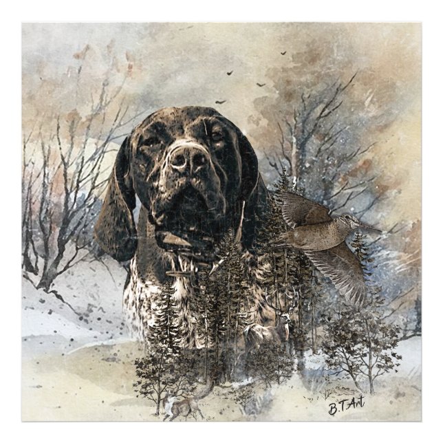 GSP, German Shorthaired Pointer Photo Print (Front)