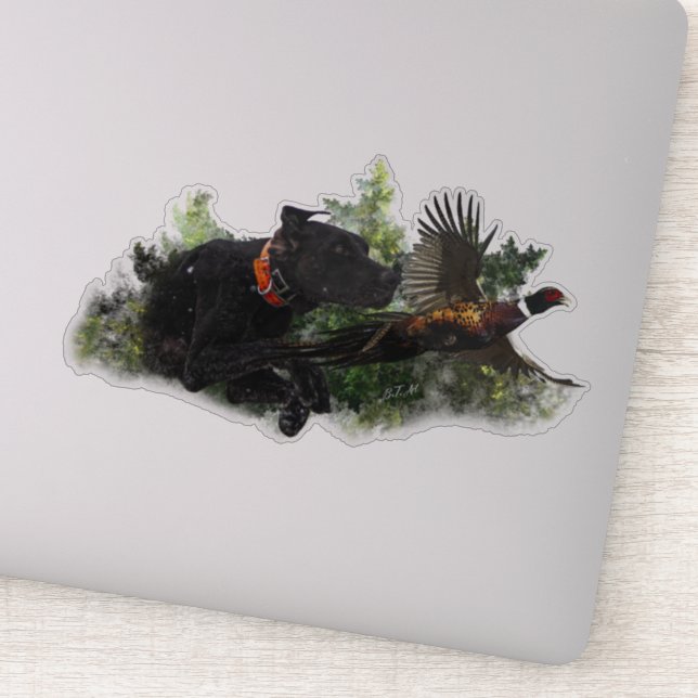 GSP , Hunting pheasant  (Detail)