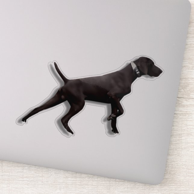 GSP pointer  Sticker (Detail)