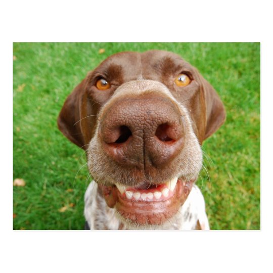 GSP Smile Postcard