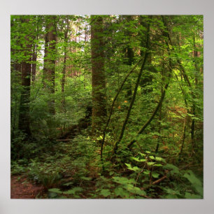 GT salal trail 2 Poster