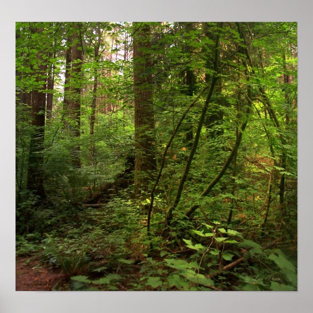 GT salal trail 2 Poster (Front)