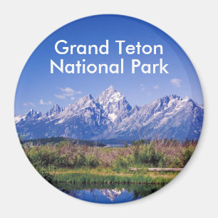 GTNP2 Products Magnet