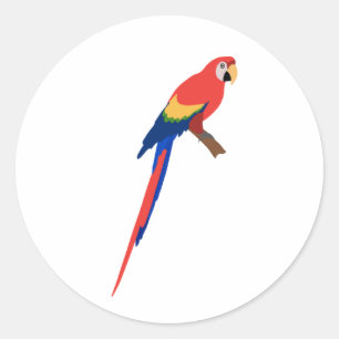 Guacamaya Pegatin Classic Round Sticker