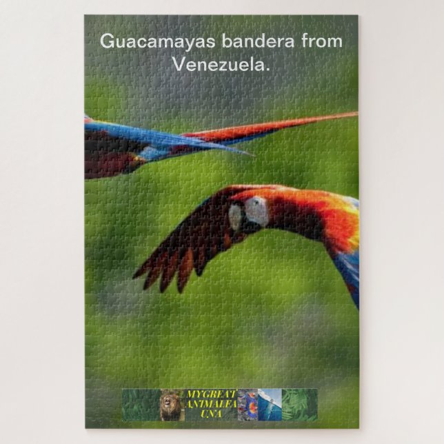 Guacamayas bandera from Venezuela puzzle. Jigsaw Puzzle (Vertical)