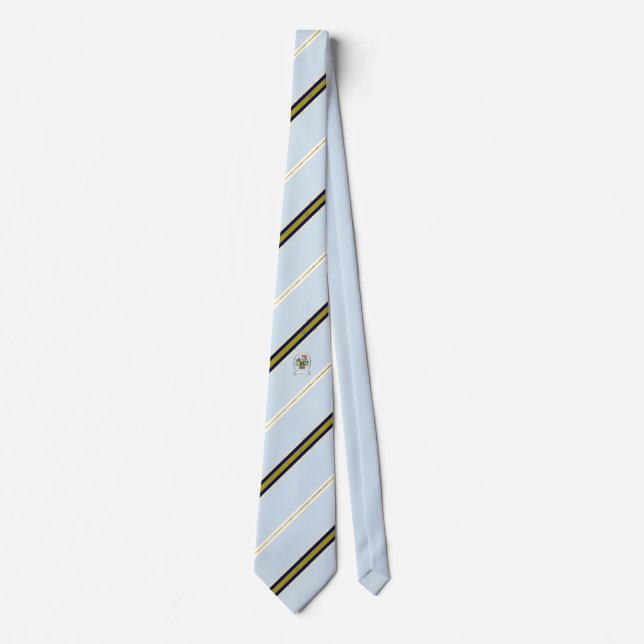 Guadalajara stripes flag tie (Front)