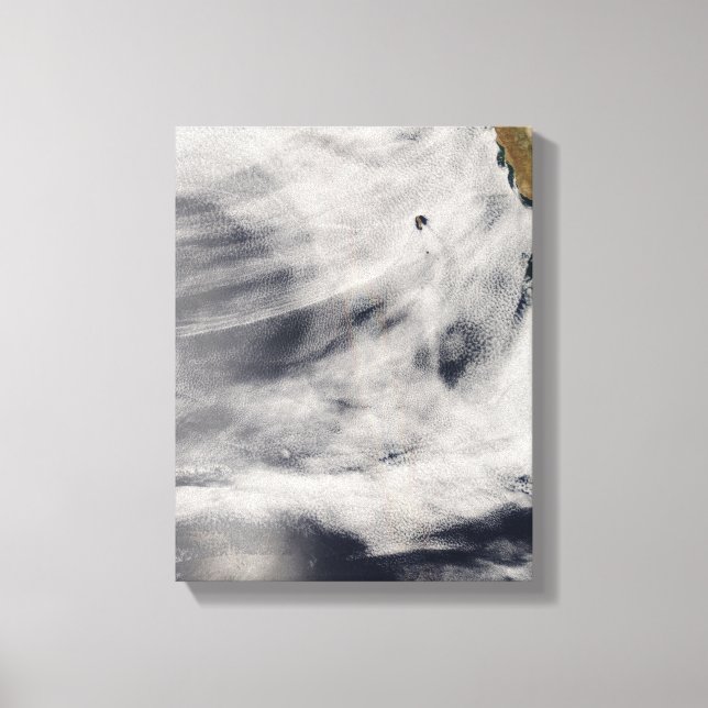 Guadalupe Island Canvas Print (Front)