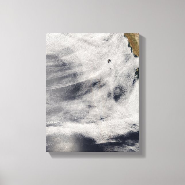 Guadalupe Island Canvas Print (Front)