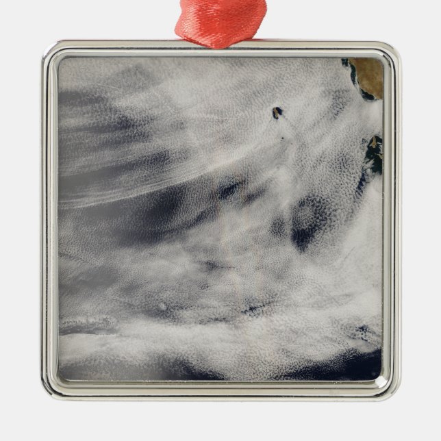 Guadalupe Island Metal Tree Decoration (Front)