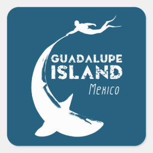 Guadalupe Island Mexico Scuba Diving With Sharks Square Sticker