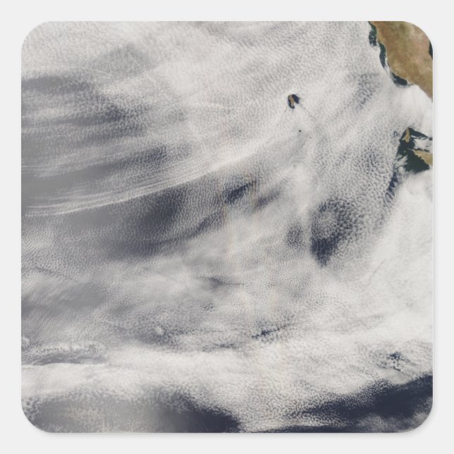 Guadalupe Island Square Sticker (Front)