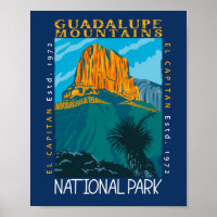  Guadalupe Mountains National Park Distressed 