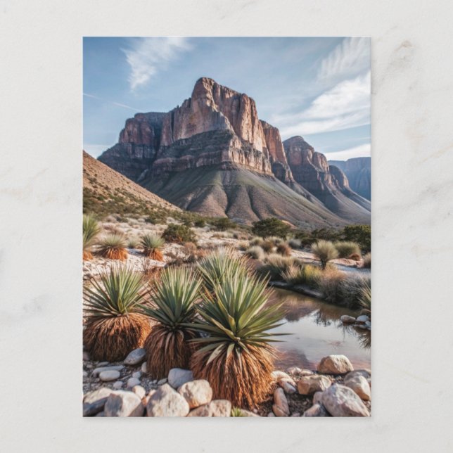 Guadalupe Mountains National Park Travel Postcard (Front)