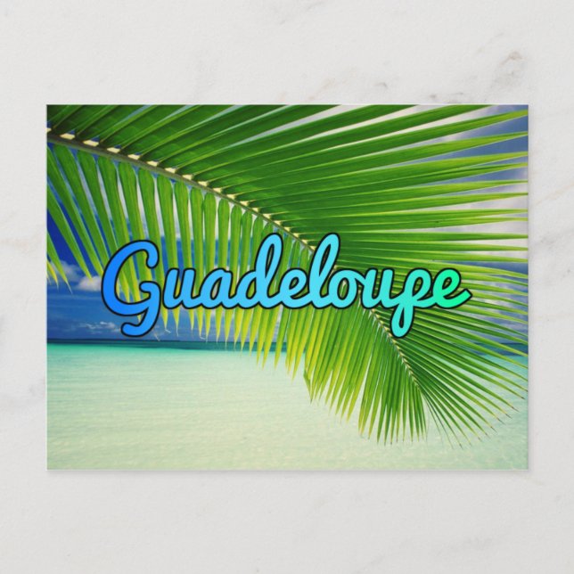 Guadeloupe Postcard (Front)