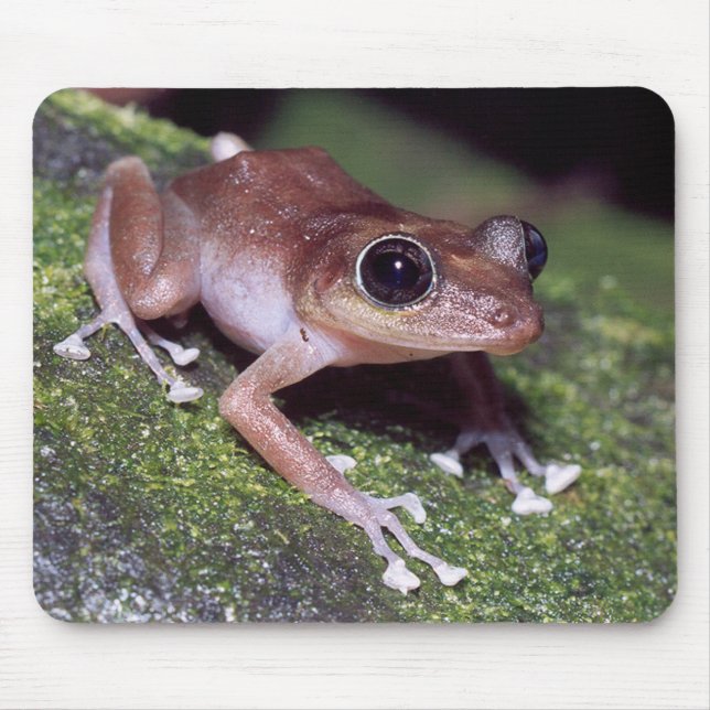 Guajon Mouse Mat (Front)